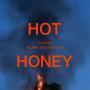 Details Tiësto & Alana Springsteen - Hot Honey