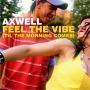 Details Axwell - Feel The Vibe (Til The Morning Comes)