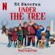 Details ed sheeran - under the tree