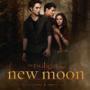 Details kristen stewart, robert pattinson e.a. - the twilight saga: new moon