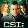 Details laurence fishburne, marg helgenberger e.a. - csi: crime scene investigation – seizoen tien, afleveringen 10.13-10.24