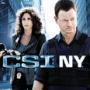 Details gary sinise, carmine giovinazzo e.a. - csi: ny - seizoen zes, afleveringen 6.12-6.23