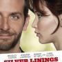 Details bradley cooper, jennifer lawrence e.a. - silver linings playbook