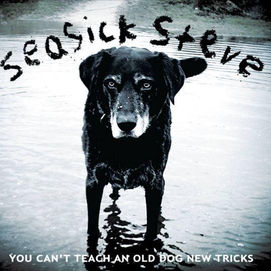 Coverafbeelding seasick steve - you can't teach an old dog new tricks