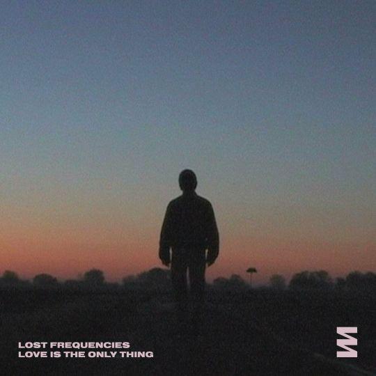 Coverafbeelding lost frequencies - love is the only thing