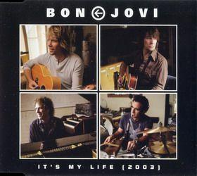 Coverafbeelding Bon Jovi - It's My Life (2003)