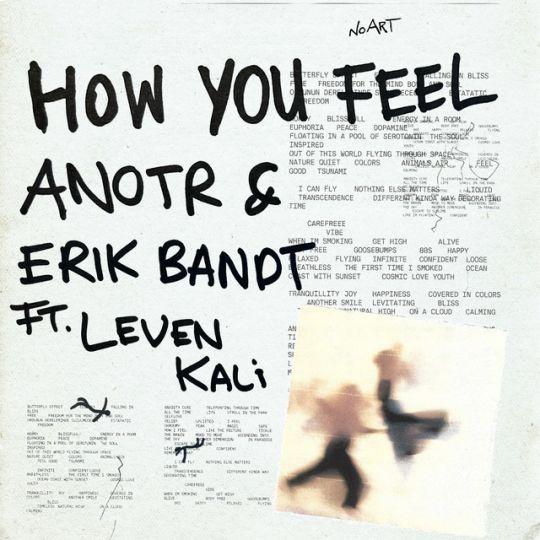 Coverafbeelding Anotr & Erik Bandt ft. Leven Kali - How You Feel