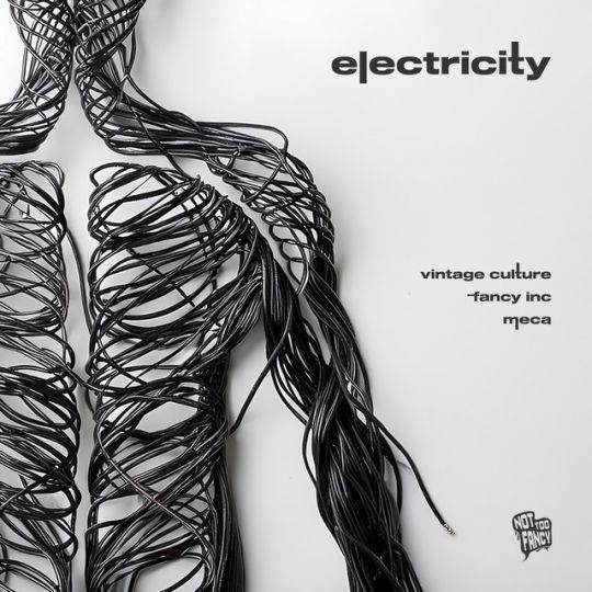 Coverafbeelding Vintage Culture, Fancy Inc & Meca - Electricity