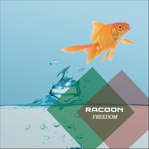 Coverafbeelding racoon - freedom