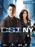 Coverafbeelding gary sinise, carmine giovinazzo e.a. - csi: ny - seizoen zes, afleveringen 6.1-6.11