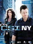 Coverafbeelding gary sinise, carmine giovinazzo e.a. - csi: ny - seizoen zes, afleveringen 6.12-6.23