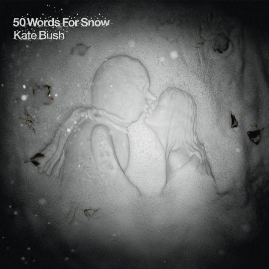 Coverafbeelding kate bush - 50 words for snow