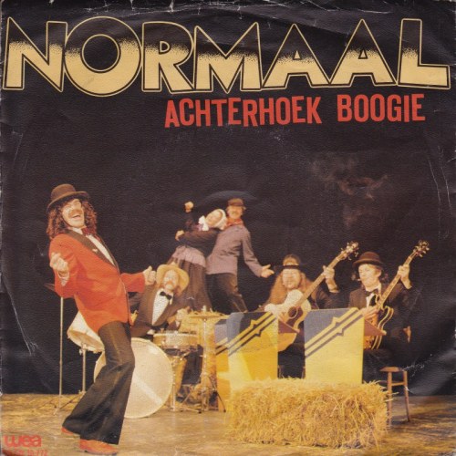 Normaal - Achterhoek Boogie | Top 40